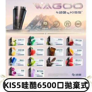 Kis5電子煙 Kiss拋棄式哇酷|WAGOO6500口一次性電子煙