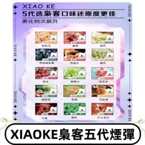 梟客五代煙彈|XIAOKE可替換式電子煙|通用Relx6代|ILIA五代主機